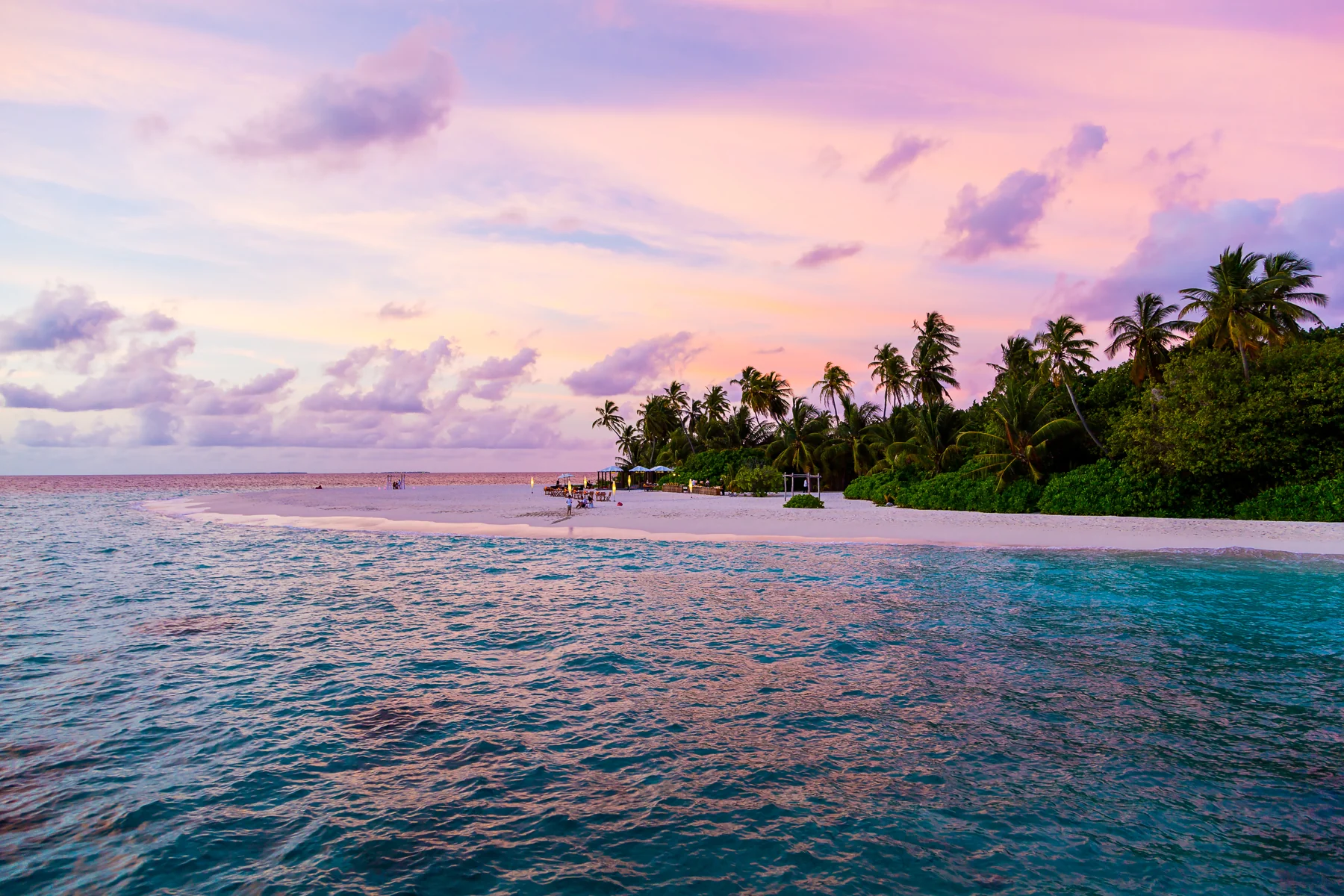A palm-lined Pacific island at sunset